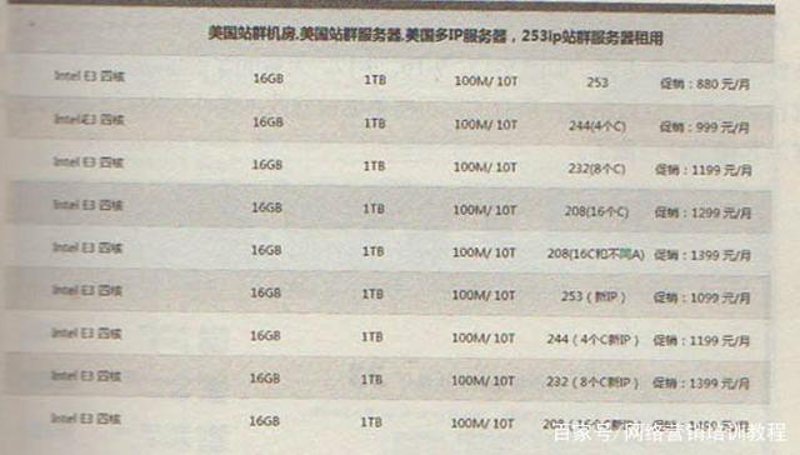 AI站群程序：革新营销策略的最佳助手